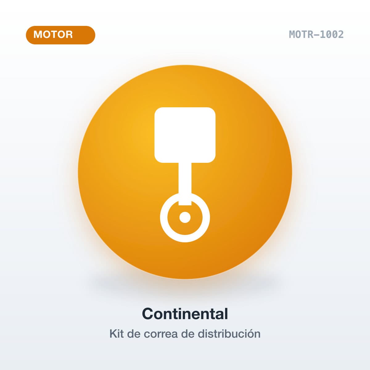 Kit de correa de distribución